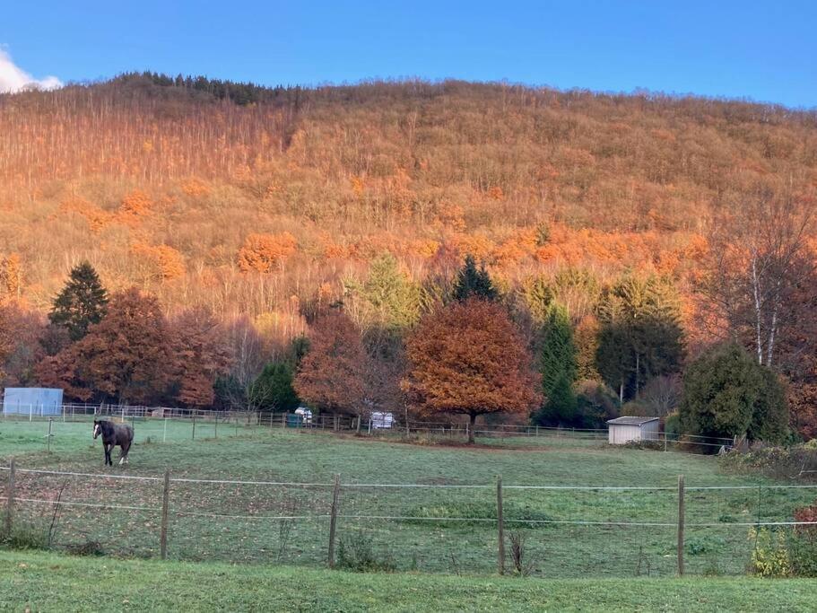 La Bergerie Villa Thilay Dış mekan fotoğraf